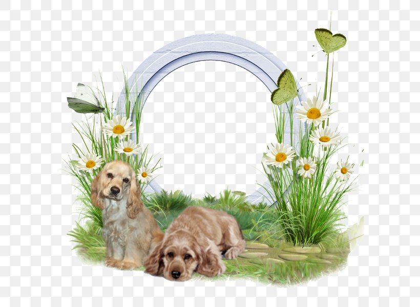 Puppy Dog Breed, PNG, 600x600px, Puppy, Blog, Carnivoran, Companion Dog, Dog Download Free