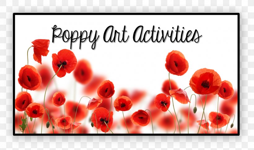 White Poppy Flower Canvas Print Art, PNG, 1584x939px, Poppy, Art, Canvas, Canvas Print, Common Poppy Download Free