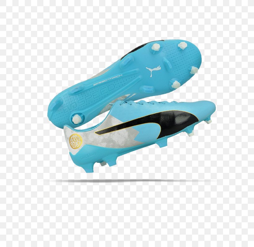 Blue Turquoise Marine Mammal, PNG, 800x800px, Blue, Aqua, Argentina National Football Team, Footwear, Mammal Download Free