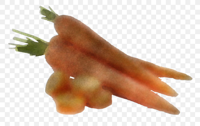 Carrot Asparagus Hand Finger Vegetable, PNG, 787x517px, Carrot, Asparagus, Baby Carrot, Dish, Finger Download Free