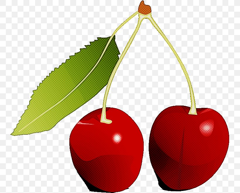 Cherry Plant Fruit Leaf Tree, PNG, 749x662px, Cherry, Drupe, Flower, Food, Fruit Download Free