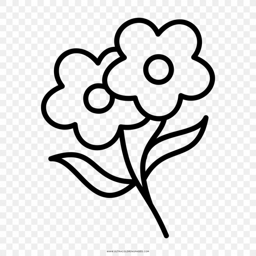Floral Design Coloring Book Drawing Flower, PNG, 1000x1000px, Floral Design, Artwork, Black And White, Branch, Coloring Book Download Free