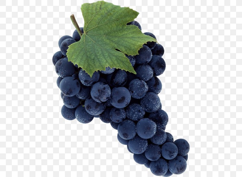 Merlot Wine Grape Sultana, PNG, 466x600px, Merlot, Berry, Bilberry, Blueberry, Common Grape Vine Download Free