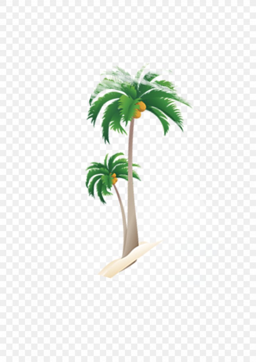 Nata De Coco Coconut Tree Arecaceae, PNG, 2480x3508px, Nata De Coco, Arecaceae, Caricature, Coconut, Display Resolution Download Free