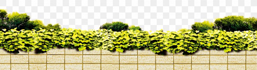 Wall Poster Real Property, PNG, 1984x542px, Wall, Flowerpot, Garden, Grass, Information Download Free