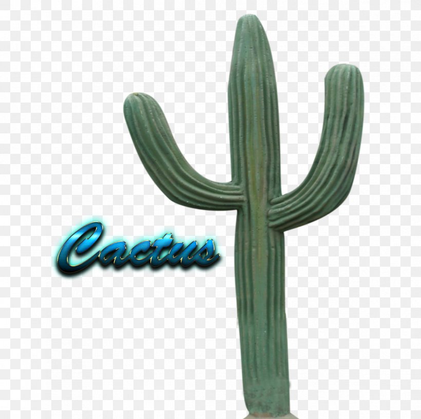 Cactus Image Transparency Name, PNG, 1187x1183px, Cactus, Caryophyllales, Display Resolution, Flowering Plant, Logo Download Free
