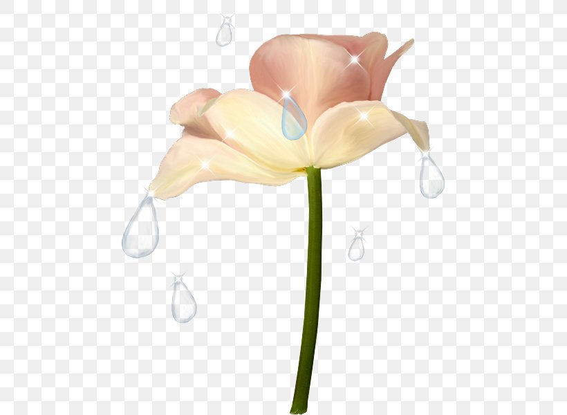 Flower Drawing Petal, PNG, 470x600px, Flower, Architecture, Art, Cut Flowers, Drawing Download Free