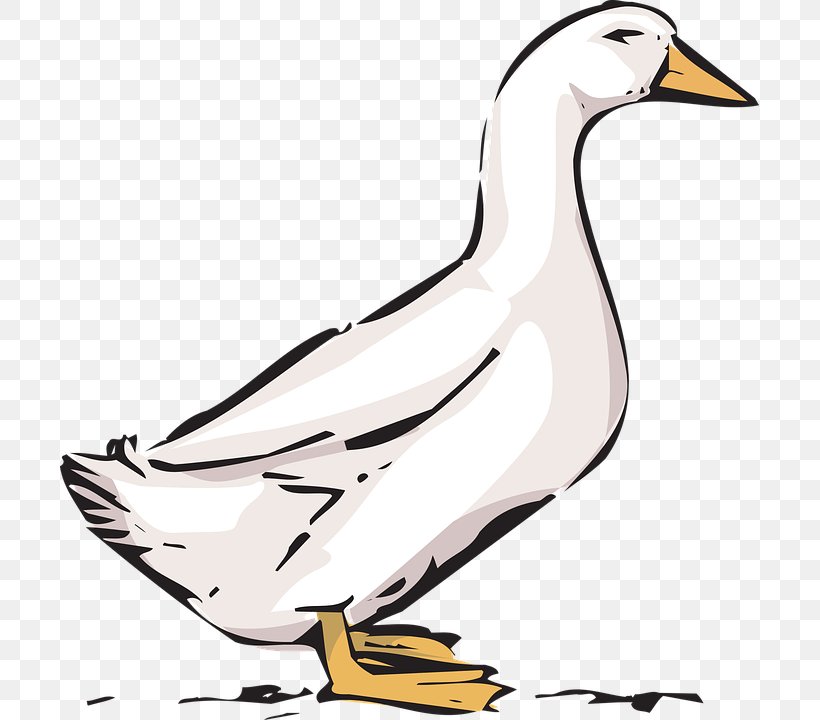 Goose Duck American Pekin Bird Clip Art, PNG, 699x720px, Goose, American Pekin, Animal, Art, Artwork Download Free