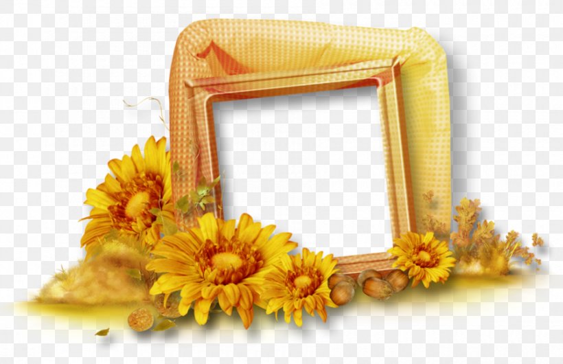 Picture Frames Autumn Clip Art, PNG, 900x582px, Picture Frames, Adobe Flash, Autumn, Cut Flowers, Floral Design Download Free