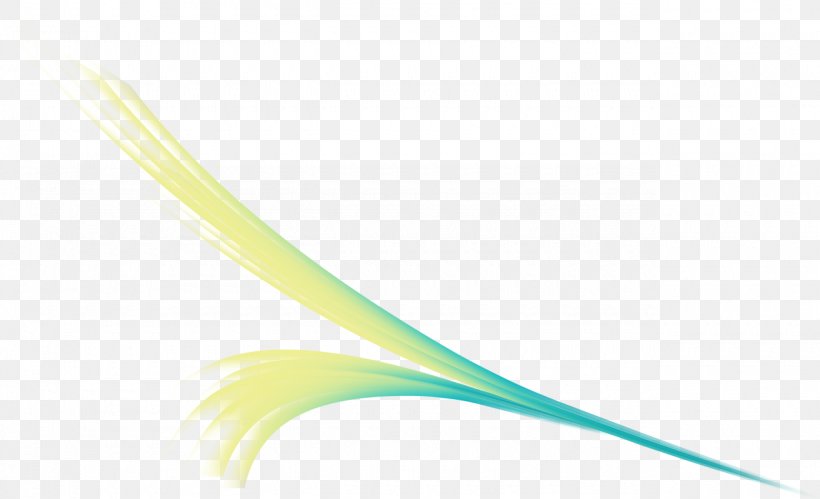 Plant Stem Close-up Feather Line, PNG, 1280x780px, Plant Stem, Closeup, Feather, Wing, Yellow Download Free
