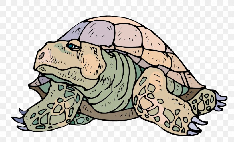 Tortoise Sea Turtle Crocodiles, PNG, 983x596px, Tortoise, Amphibian, Art, Ausmalbild, Carnivoran Download Free