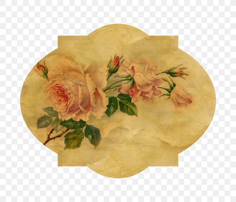 Vintage Clothing Garden Roses Flower, PNG, 700x700px, Vintage Clothing, Antique, Clothing, Decoupage, Ebay Download Free