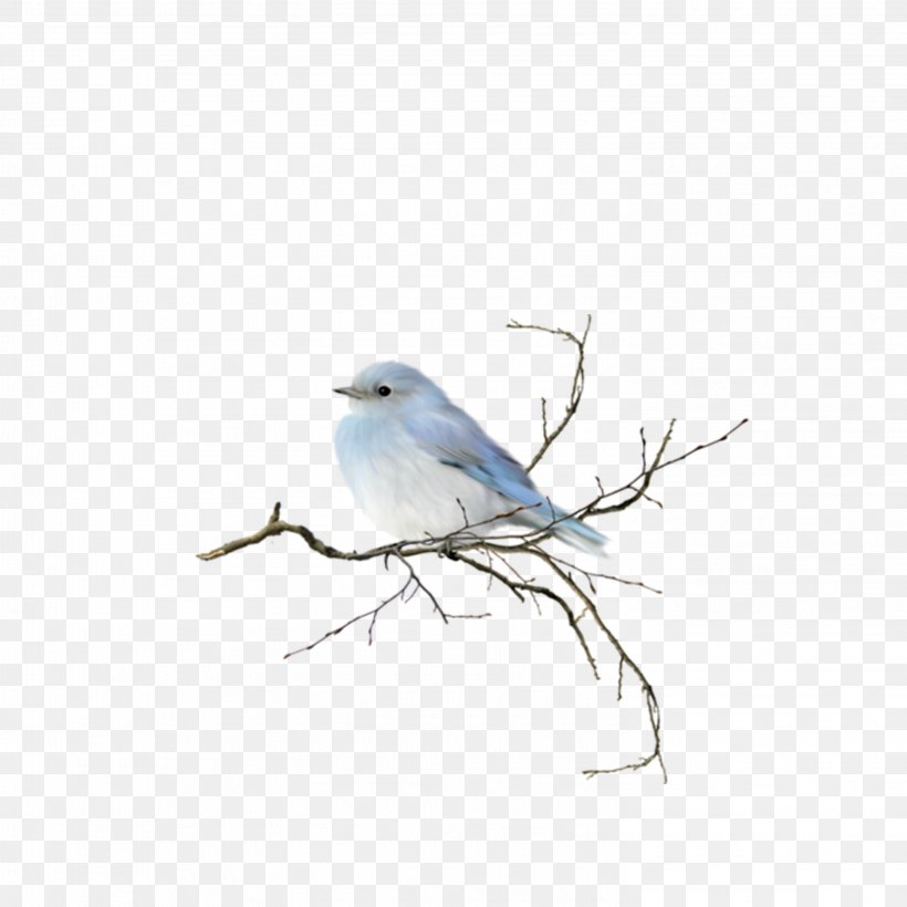 Bird Watercolor Painting Clip Art, PNG, 2953x2953px, Bird, Art, Beak, Blue Jay, Bluebird Download Free