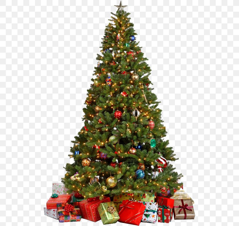 Christmas Tree Gift Christmas Ornament, PNG, 521x773px, Christmas Tree, Christmas, Christmas Decoration, Christmas Lights, Christmas Ornament Download Free