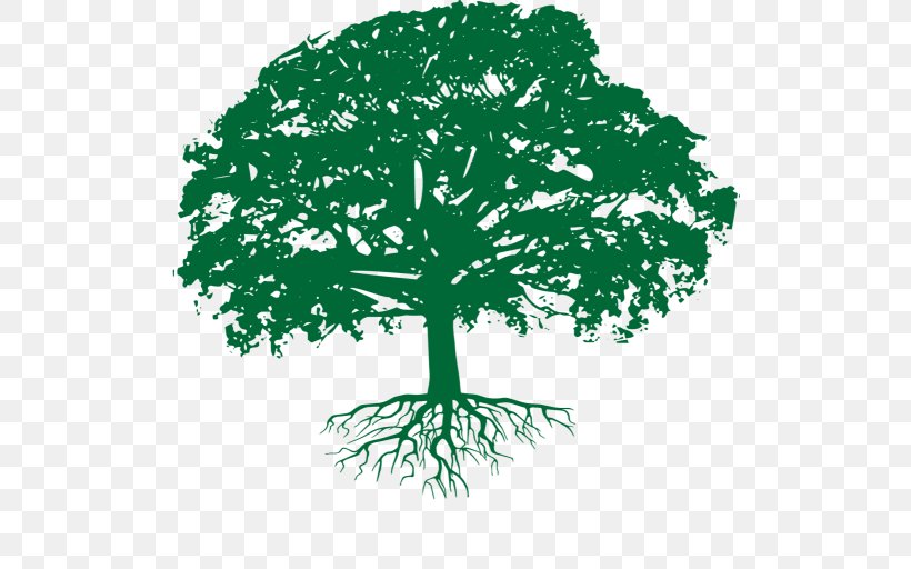 Branch Oak Tree Arborist Business, PNG, 512x512px, Branch, Arborist, Business, Certified Arborist, Featurepics Download Free