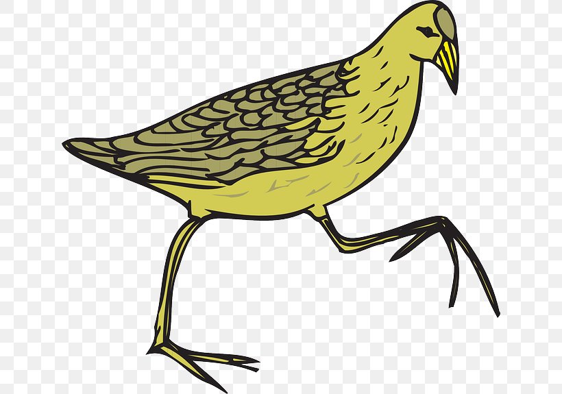 Common Quail Bird Common Moorhen Clip Art, PNG, 640x575px, Quail, Animation, Artwork, Beak, Bird Download Free
