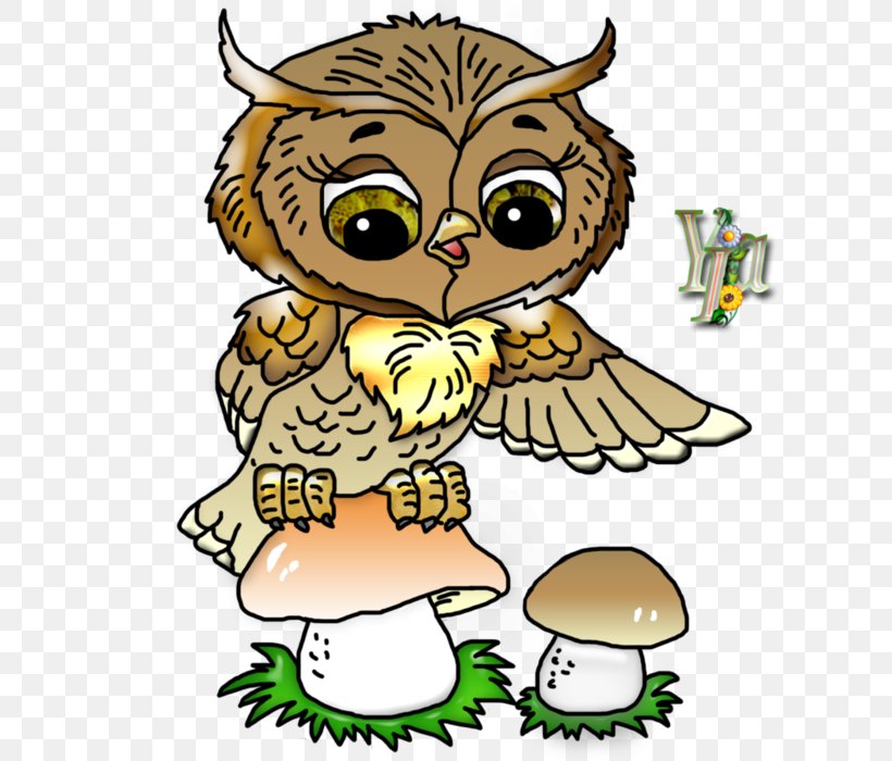 Drawing Child Owl Cartoon Clip Art, PNG, 700x700px, Drawing, Artwork, Beak, Bird, Bird Of Prey Download Free