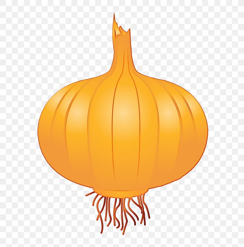 Drawing Of Family, PNG, 1589x1610px, Vegetable, Allium, Amaryllis Family, Calabaza, Cucurbita Download Free