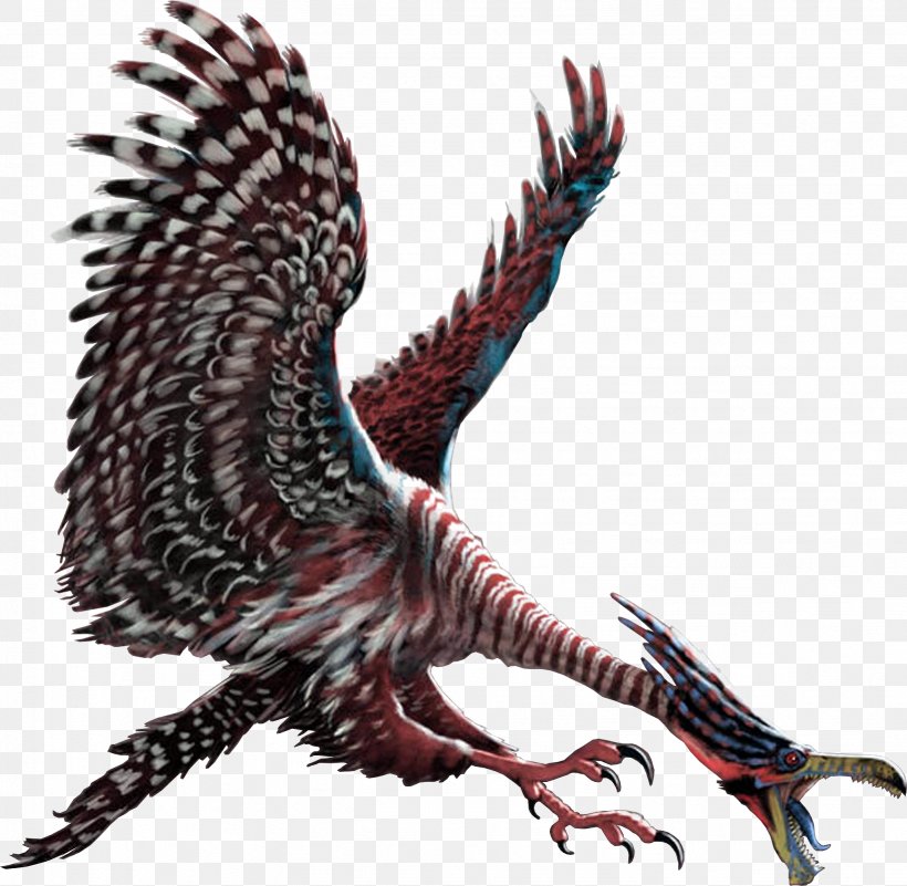 Jubjub Bird Bald Eagle Wing, PNG, 1637x1601px, Bird, Alice In Wonderland, Bald Eagle, Beak, Bird Of Prey Download Free