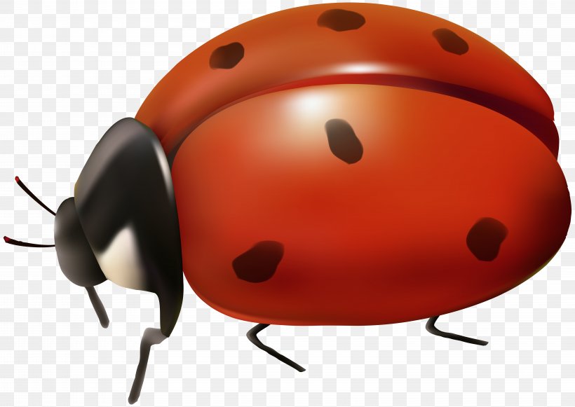 Ladybird Beetle Clip Art, PNG, 8000x5673px, Ladybird Beetle, Art, Art Museum, Arthropod, Beetle Download Free