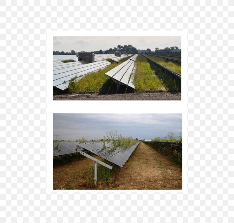 Land Lot Landscape Energy Water Resources Daylighting, PNG, 604x781px, Land Lot, Daylighting, Energy, Farm, Field Download Free