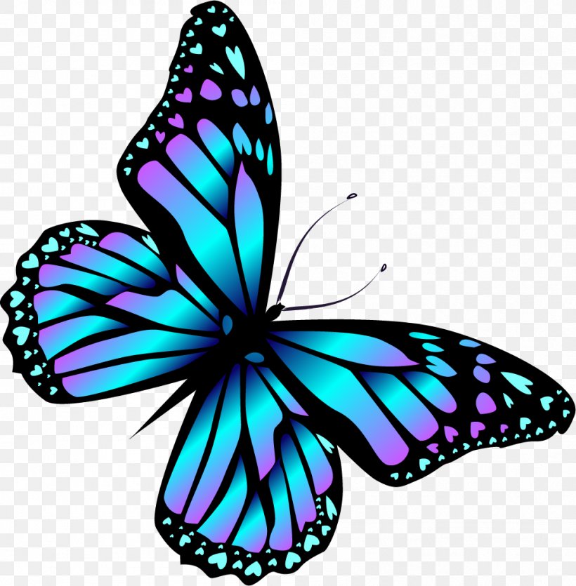 Monarch Butterfly Cartoon Blue, PNG, 1001x1020px, Monarch Butterfly, Blue,  Brush Footed Butterfly, Butterfly, Cartoon Download Free