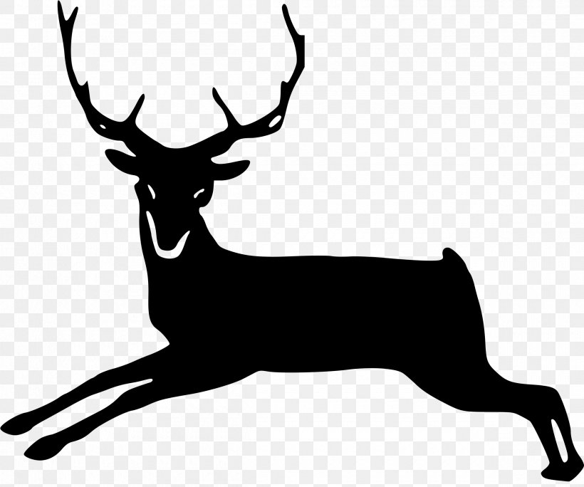 White-tailed Deer Elk Moose Clip Art, PNG, 2400x2002px, Whitetailed Deer, Antelope, Antler, Black, Blackandwhite Download Free