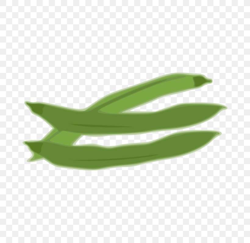 Edamame Pea Green Bean Clip Art, PNG, 800x800px, Edamame, Bean, Food, Grass, Green Download Free