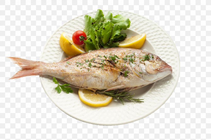 Fried Fish Seafood Fish As Food Health, PNG, 1000x665px, Fried Fish, Diet, Dish, Eating, Fish Download Free