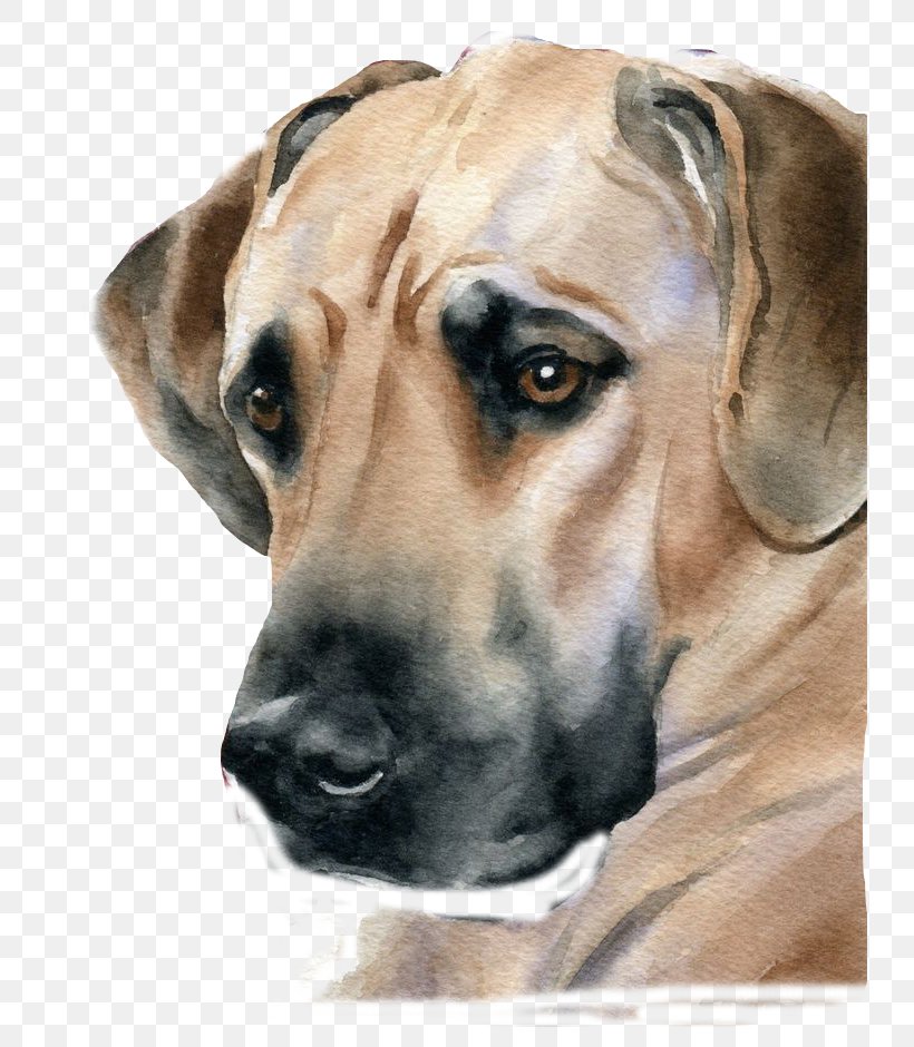 Great Dane Scottish Terrier Puppy Watercolor Painting Portrait, PNG, 736x940px, Great Dane, Art, Artist, Black Mouth Cur, Boerboel Download Free