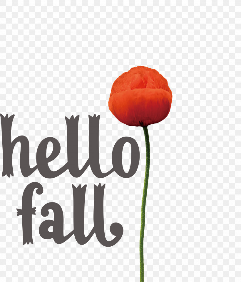 Hello Fall Fall Autumn, PNG, 2568x3000px, Hello Fall, Autumn, Biology, Cut Flowers, Fall Download Free