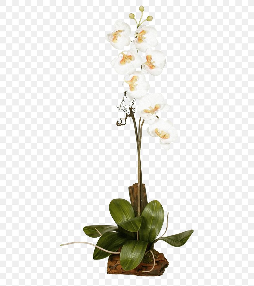 Moth Orchids Plant Flora, PNG, 472x922px, Moth Orchids, Artificial Flower, Common Ivy, Cut Flowers, Flora Download Free