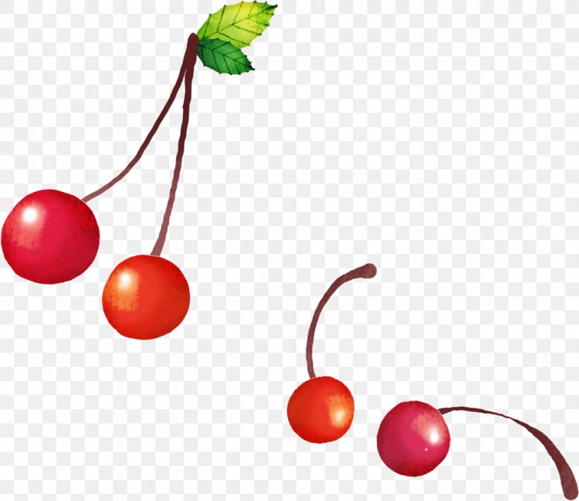 Cherry Fruit, PNG, 997x864px, Cherry, Auglis, Cerise, Concepteur, Drawing Download Free