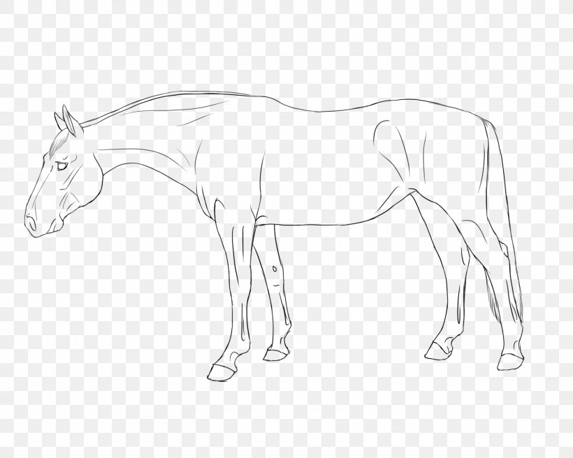 Mule Halter Foal Stallion Colt, PNG, 1600x1280px, Mule, Animal Figure, Arm, Artwork, Black And White Download Free