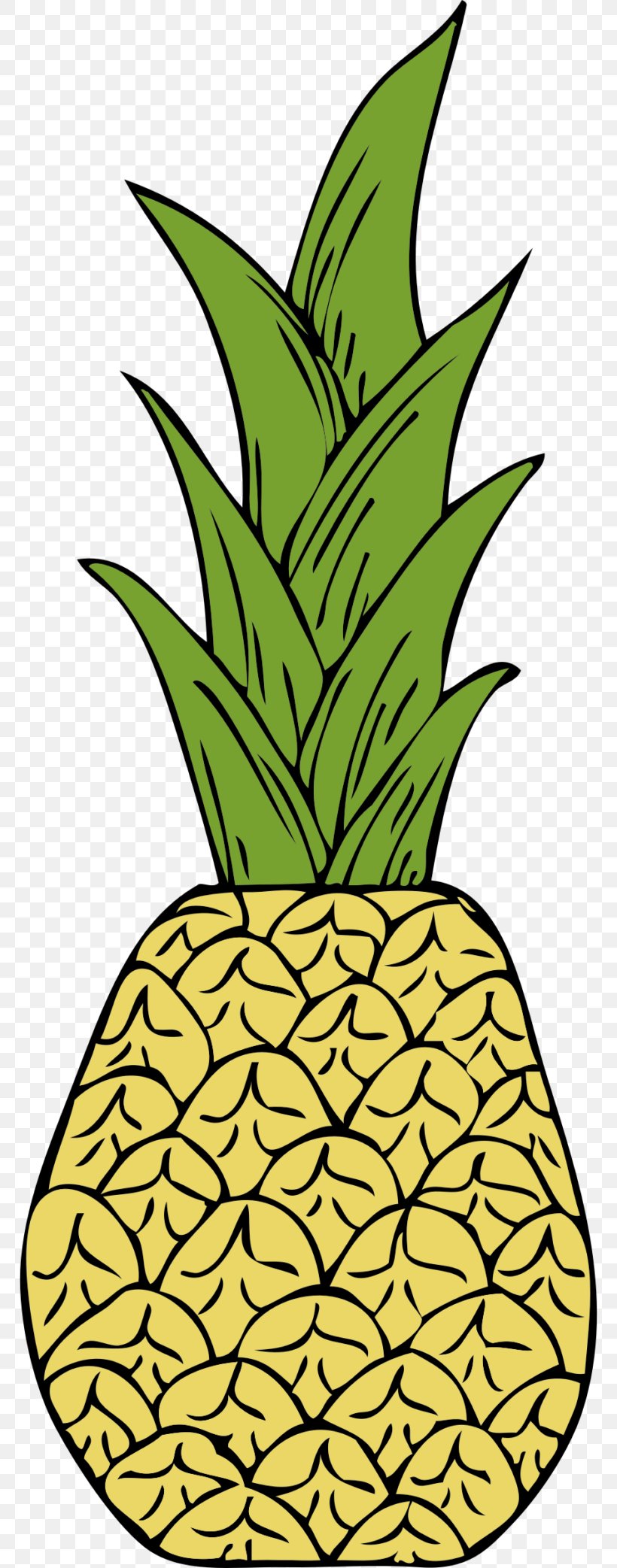 Pineapple Fruit Clip Art, PNG, 768x2085px, Pineapple, Ananas, Artwork, Drawing, Flowering Plant Download Free