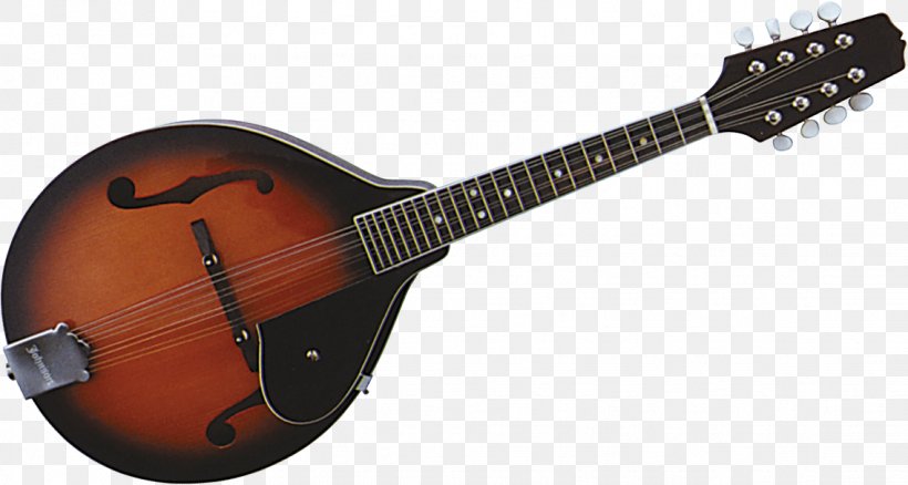Banjo Guitar Mandolin Acoustic Guitar Electric Guitar Tiple, PNG, 1136x607px, Watercolor, Cartoon, Flower, Frame, Heart Download Free