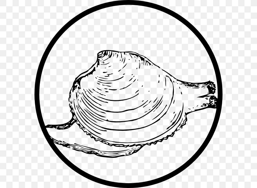Clam Mussel Seashell Illustration, PNG, 600x600px, Clam, Area, Artwork, Black And White, Drawing Download Free