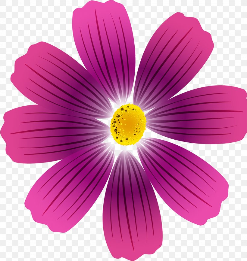 Flower Cosmos Painting Drawing Petal, PNG, 1132x1200px, Flower, Annual Plant, Art, Blume, Cosmos Download Free
