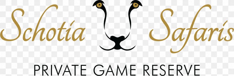 Logo Schotia Safaris Private Game Reserve Banner Graphic Designer Font, PNG, 1279x415px, Logo, Banner, Brand, Calligraphy, Google Logo Download Free