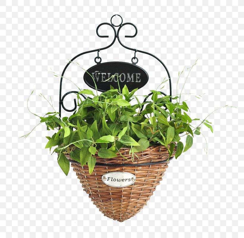 Wreath Leaf, PNG, 800x800px, Wreath, Basket, Flora, Flowerpot, Food Gift Baskets Download Free