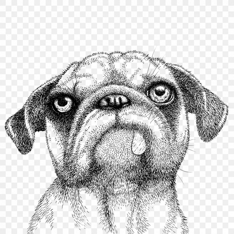 Pug Dog Breed Toy Dog Whiskers Snout, PNG, 1200x1200px, Watercolor, Cartoon, Flower, Frame, Heart Download Free