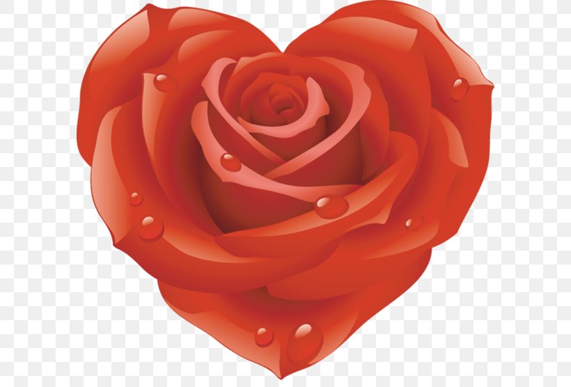 Rose Clip Art, PNG, 600x556px, Rose, Cut Flowers, Floribunda, Flower, Garden Roses Download Free