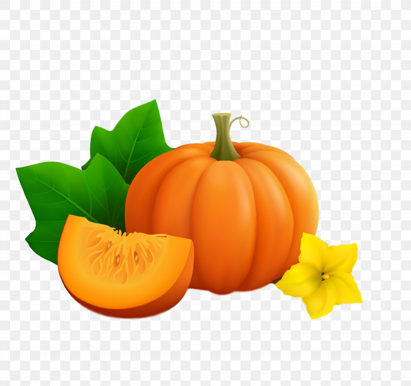 Thanksgiving Autumn Harvest, PNG, 2048x1926px, Thanksgiving, Autumn, Fruit, Gourd, Harvest Download Free