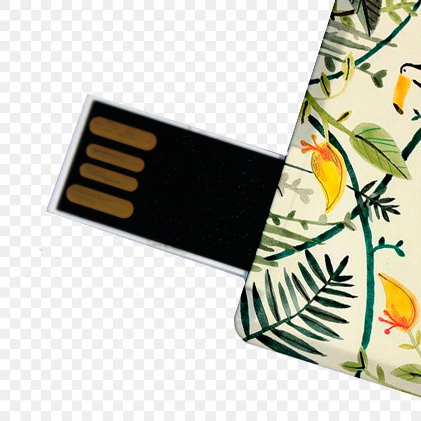 USB Flash Drives Printing Flash Memory Cards Computer Data Storage, PNG, 2812x2812px, Usb Flash Drives, Computer Data Storage, Credit Card, Data Storage Device, Flash Memory Cards Download Free