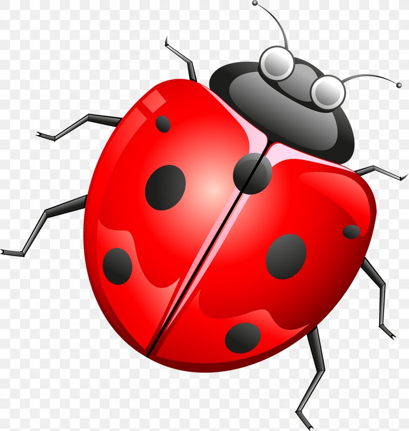 Beetle Cartoon Technology Clip Art, PNG, 1137x1200px, Beetle, Cartoon, Insect, Invertebrate, Lady Bird Download Free
