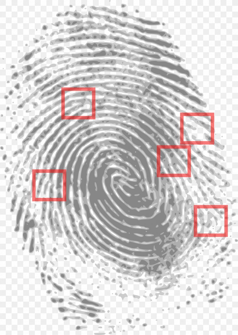 Fingerprint Detective Crime Scene Forensic Science, PNG, 1363x1920px, Fingerprint Detective, Area, Biometrics, Black And White, Crime Download Free