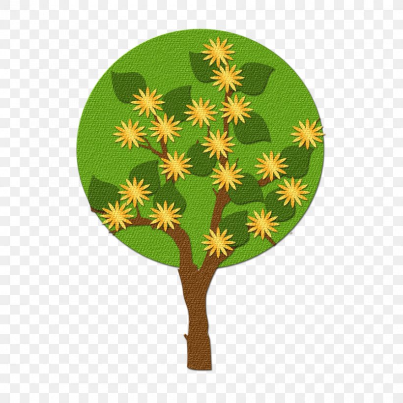 Leaf Tree, PNG, 894x894px, Leaf, Plant, Tree Download Free