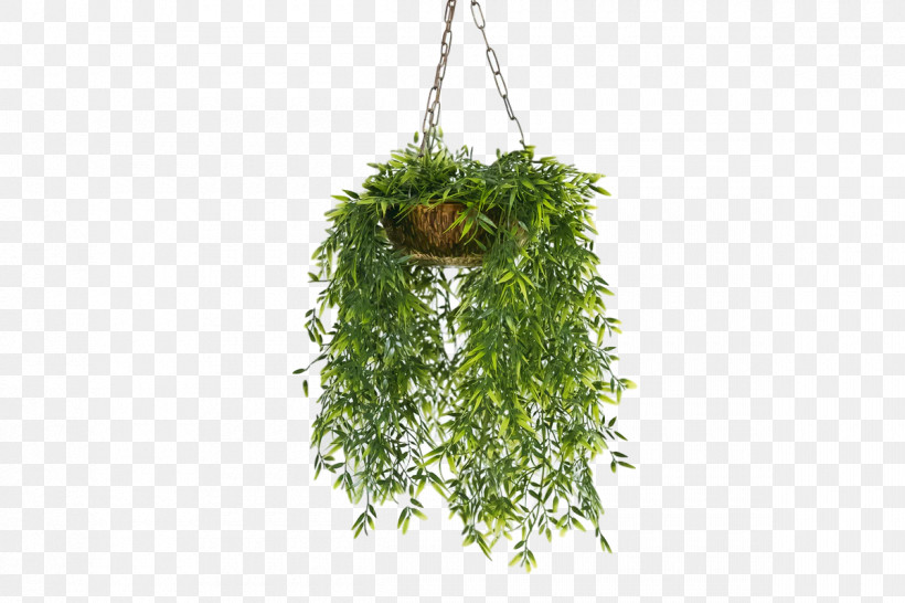 Vine, PNG, 1200x800px, Hanging Basket, Areca Palm, Artificial Plants And Trees, Bamboo, Bamboos Download Free