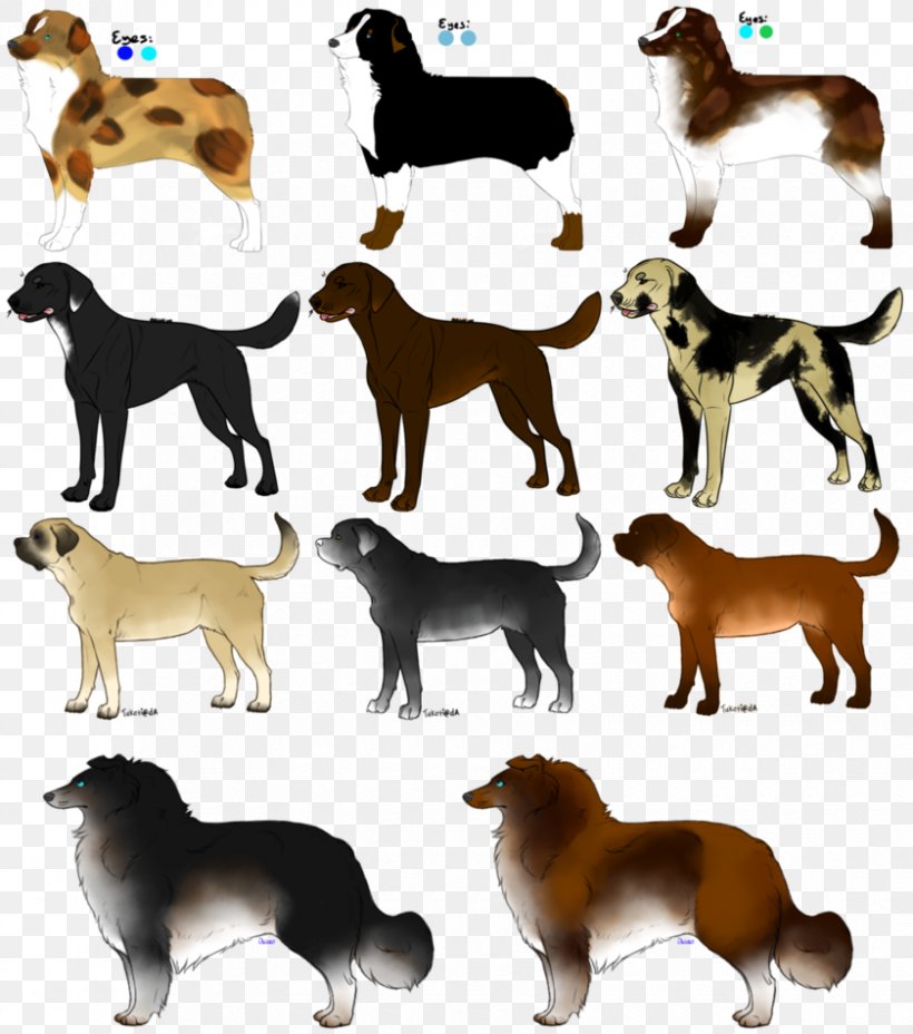 Dog Breed Companion Dog Tail, PNG, 840x951px, Dog Breed, Breed, Carnivoran, Companion Dog, Dog Download Free