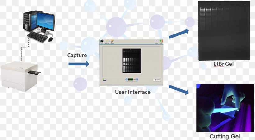 Gel Doc Ethidium Bromide Electronics, PNG, 1060x583px, Gel Doc, Computer Software, Dna, Electronic Device, Electronics Download Free
